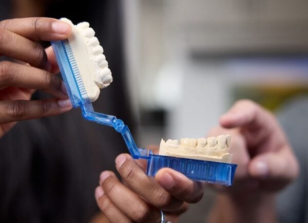 Doctor with Veneer Model